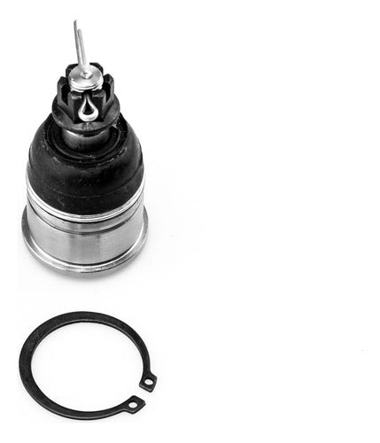 SD-K9643 - ROTULA - ROTULA INFERIOR - ACURA CL 1997-1999 - ACURA CL 2001-2003 - ACURA TL 1999-2003 - HONDA ACCORD 1990-2002 - HONDA ODYSSEY 1995-1998 - ISUZU OASIS 1996-1999