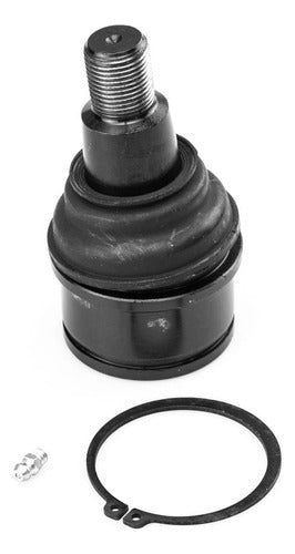 SD-1008012 - ROTULA - ROTULA INFERIOR - GMC KODIAK-TOPKICK C4500-C5500 2005-2009 4 X 4 - FORD - MERCURY F250 4X4 2005-2009 - FORD - MERCURY F350 4X4 2003-2014 - FORD - MERCURY F450-F550 2005-2019