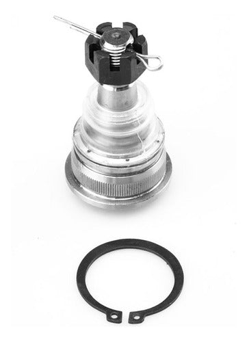 SD-40160-F4200 - ROTULA <BR> ROTULA INFERIOR <br> NISSAN LUCINO 1996-2000 <br> NISSAN SENTRA 1996-2000