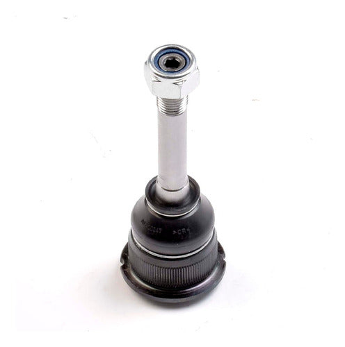 SD-31121139131 - ROTULA <BR> ROTULA INFERIOR PERNO LARGO <BR> BMW SERIE 3 E36 1992-1998 <BR> BMW Z3 1996-2002 <BR> BMW Z4 2003-2005