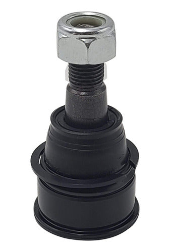 CTR-CB0117 - CR-V 2.4L 2002-2006