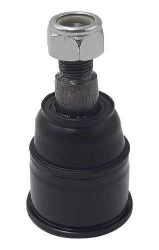 CTR-CB0126 - ROTULA - ROTULA - ACCORD 2.4L 2008-2012 - ACURA TL 3.5L 2009-2014 - ACURA TSX 2.4L 2009-2014 - ACCORD CROSSTOUR 3.5L 2010-2012 - ACURA TL 3.7L 2009-2014 - ACURA TSX 3.5L 2009-2014 - CROSSTOUR 3.5L 2013-2015