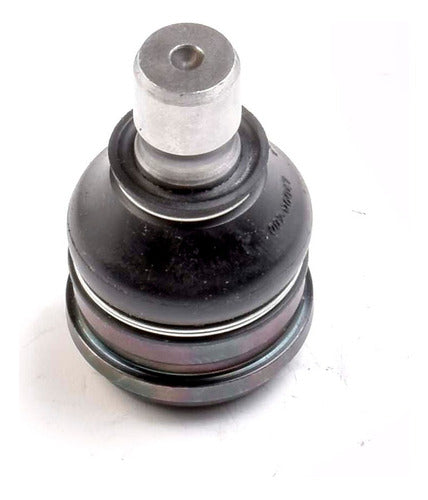 SD-1008038 - (ATS-K500396) ROTULA INF. FIGO 16/18