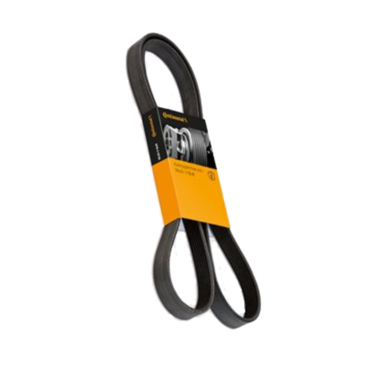 GY-4060380 Continental Multi V-Belt (GTS-K060380)GY-380K6 27/32 6PK0965 TOPAZ L4 2.3L 84/86 UNIVERSAL