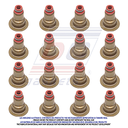 SS-8113-V VALVE SEAL (RETAIN) ASTRA ZAFIRA 4C 2.2L (DOHC) (ECOTEC Z22SE) 01/07 GENERAL MOTORS
