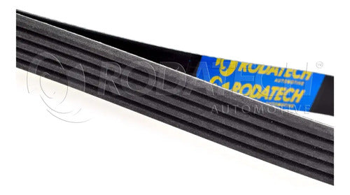 Banda Micro-v Para Audi Rs3 Quattro L5 2.5l 2020-2025