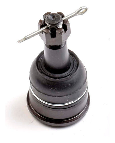 SD-1009002 - ROTULA INFERIOR PARA HONDA ODYSSEY 1999-2004