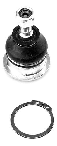 SD-1009005 - ROTULA SUPERIOR PARA ACURA TSX 2004-2014
