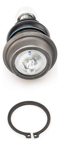 SD-1006003 - ROTULA INFERIOR PARA DODGE VAN 1000 2008-2009