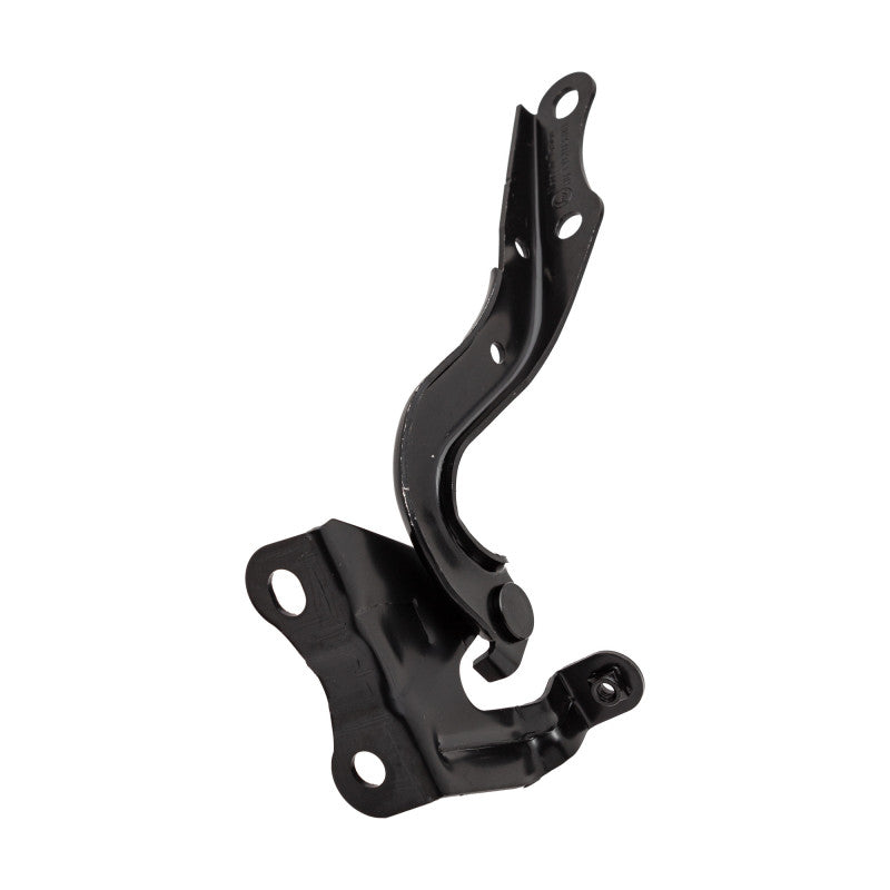 MANJ-99268 - BISAGRA DE COFRE PARA TOYOTA COROLLA 2009-2013 DERECHA