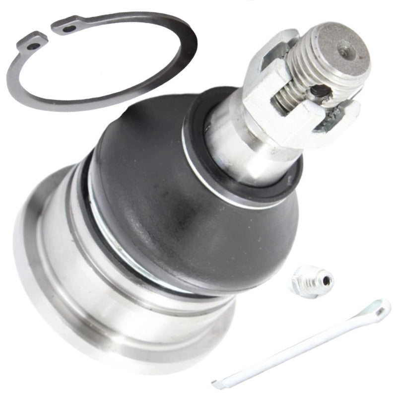 61-082 - RÓTULA DELANTERA INFERIOR DERECHA PARA INFINITI I30 1996-1999