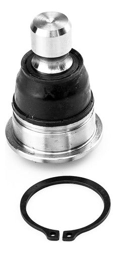 SD-1016007 - ROTULA - ROTULA INFERIOR - NISSAN MURANO 2003-2008 - NISSAN QUEST 2004-2009 - NISSAN ROGUE 2008-2018 - NISSAN X-TRAIL 2008-2020 - RENAULT KOLEOS 2009-2020