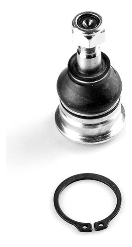 SD-1025005 - ROTULA - ROTULA INFERIOR - TOYOTA PRIUS C 2018-2020 - TOYOTA YARIS (JAPON / FRANCIA) 2014-2016 - TOYOTA YARIS (JAPON) 1999-2013 - TOYOTA YARIS (TAILANDIA) 2017-2018