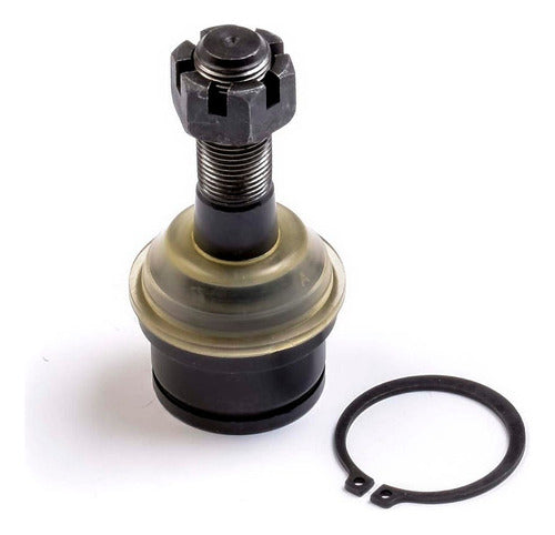 SD-1008019 - ROTULA <BR> ROTULA INFERIOR <br> MERCURY E250 VAN 2007-2014 <br> MERCURY E350 VAN 2007-2014