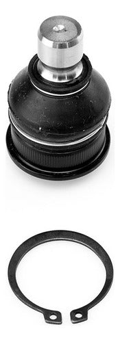 SD-1016009IT - ROTULA - ROTULA INFERIOR - NISSAN CUBE 2009-2014 - NISSAN JUKE 2012-2017 - NISSAN LEAF 2012-2017 - NISSAN SENTRA 2007-2019 - NISSAN TIIDA 2006-2018