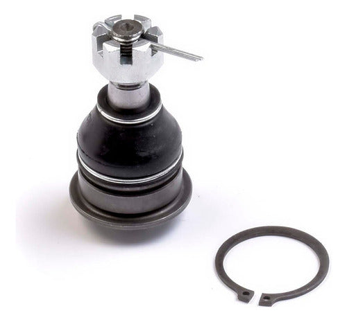 SD-1016002 - ROTULA INF MAXIMA 2000-2003