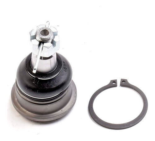 SD-1025029 - AVANZA 12/20