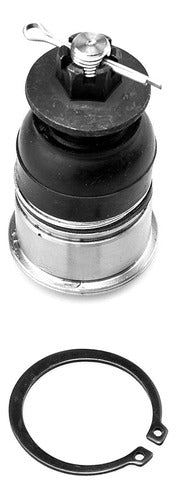 SD-1009008 - ROTULA ROTULA INFERIOR ACURA TSX 2004-2008 HONDA ACCORD 2003-2007