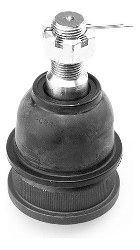 SD-K6129 - ROTULA - ROTULA INFERIOR - GMC C20 1971-1991 - GMC C30 1971-1991 - GMC G20 1971-1972 - GMC G30 1970-1995 - GMC P30 (SUSPENSION INDEPENDIENTE) 1971-1991 - GMC SUBURBAN C20 1971-1991