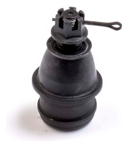 SD-1009003 - ROTULA INFERIOR FIT 06/08