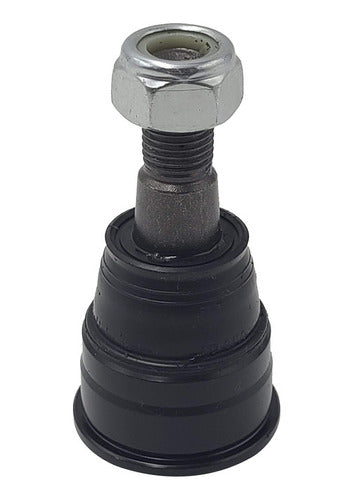 CTR-CB0123 - ELEMENT 2003-2008