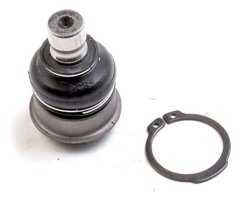 SD-1019008 - ROTULA INF KWID 2019-2020