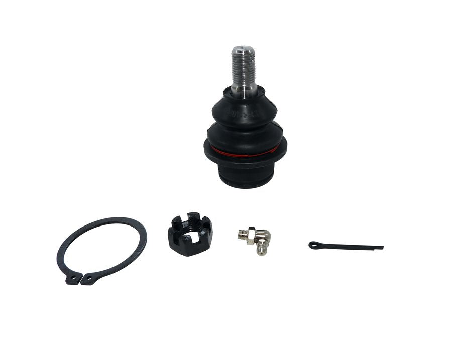 BAW-BA219 ROTULA DELANTERA INFERIOR PARA DODGE DAKOTA BIG HORN 3.7 6 2009-2010