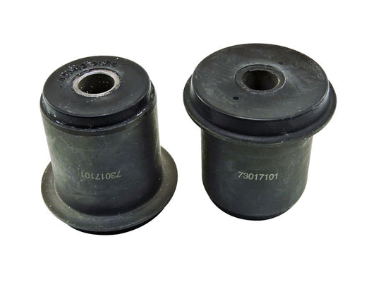 BAW-BN302 BUJE DELANTERO INFERIOR PARA BUICK SKYLARK BASE 2.5 4 1982-1982 2 PIEZAS